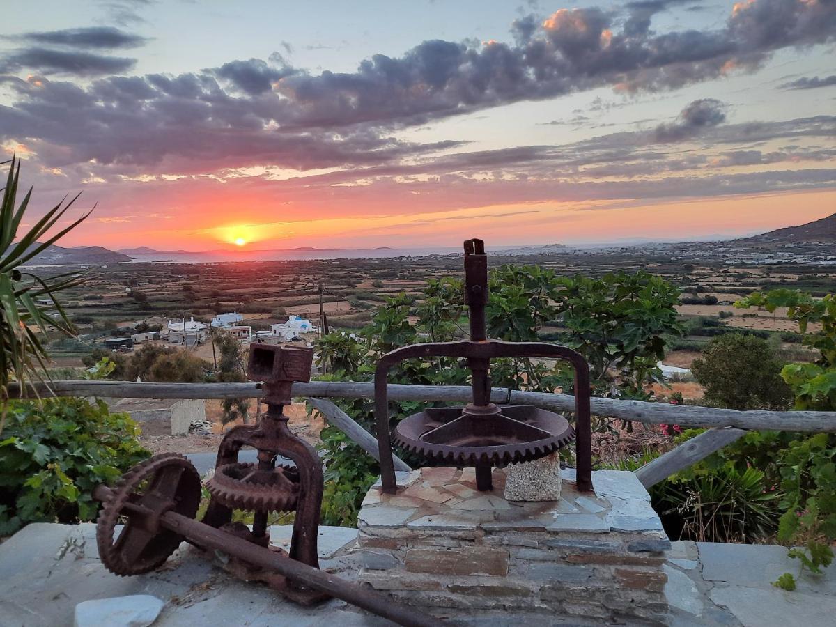 Janakos Luxury Apartment Glinado Naxos Exterior foto